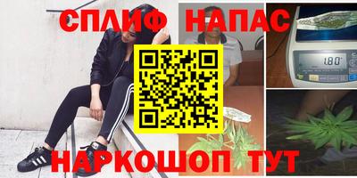 spice Нальчик
