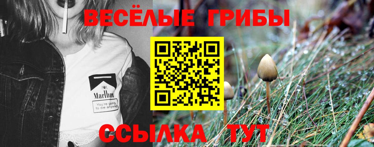наркотики  Псилоцибиновые грибы мухоморы  Псилоцибиновые грибы Psilocybine cubensis  Вход с VPN  Углич 